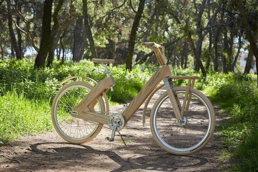 The Wooden Bicycle Tour in Stockholm