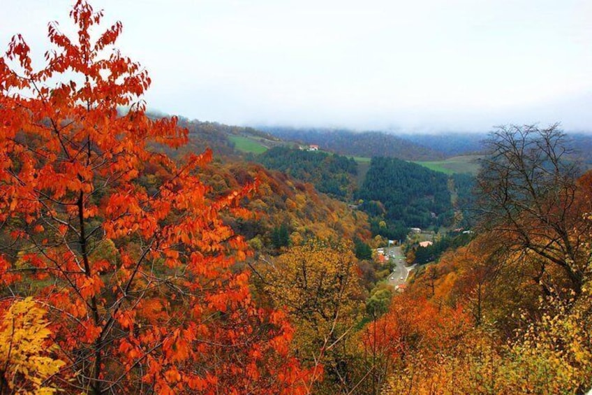 Dilijan