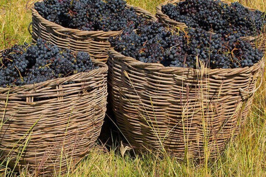 Group Tour: Shaki, Devil's bridge, Tatev-ropeway, Hin Areni winery