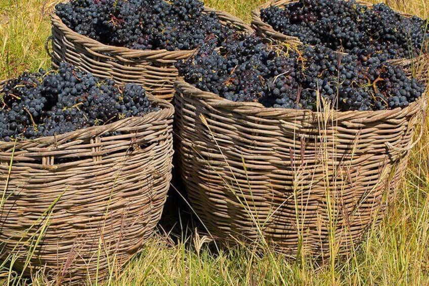 Group Tour: Shaki, Devil's bridge, Tatev-ropeway, Hin Areni winery