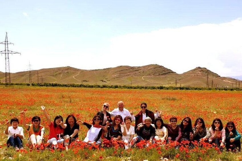 Group Tour: Shaki, Devil's bridge, Tatev-ropeway, Hin Areni winery