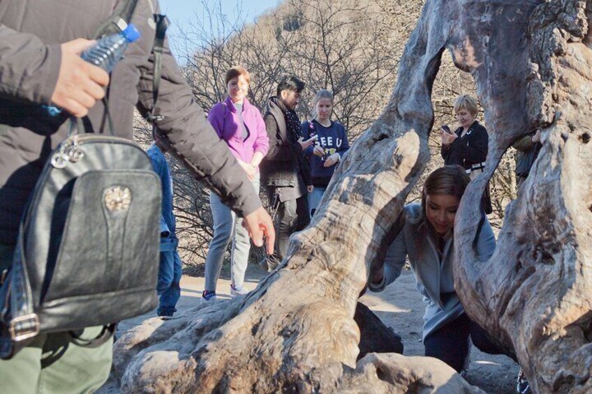 Private Lake Sevan, Sevanavank, Dilijan, Haghartsin, Goshavank Tour from Yerevan