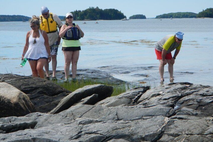 Exploring after tasting oysters..