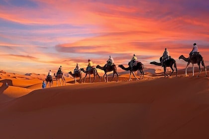 Merzouga-woestijn 3 dagen en 2 nachten tour vanuit Marrakech