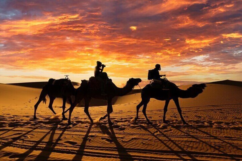 Merzouga dunes - Camel trek 