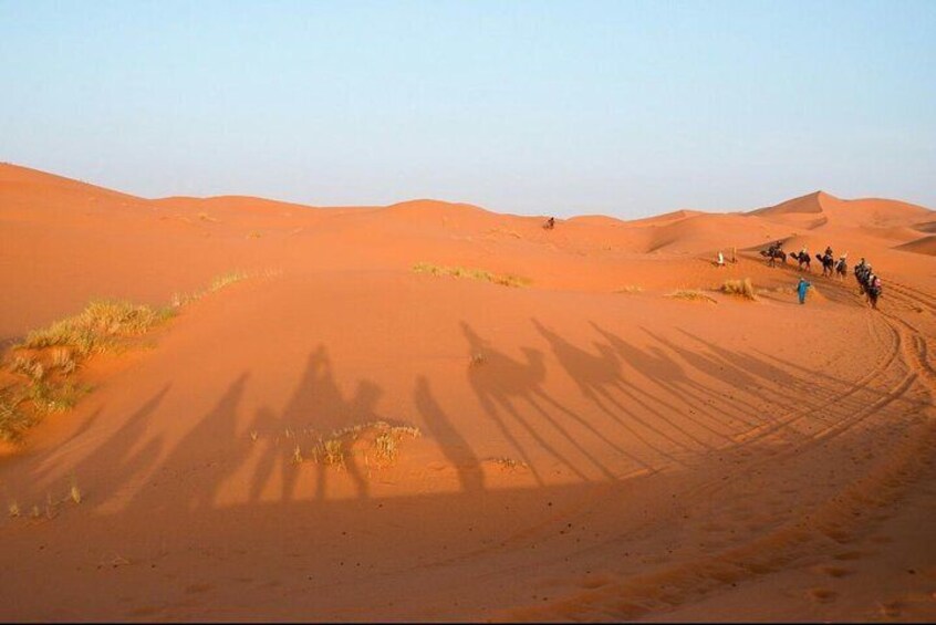 Merzouga Desert