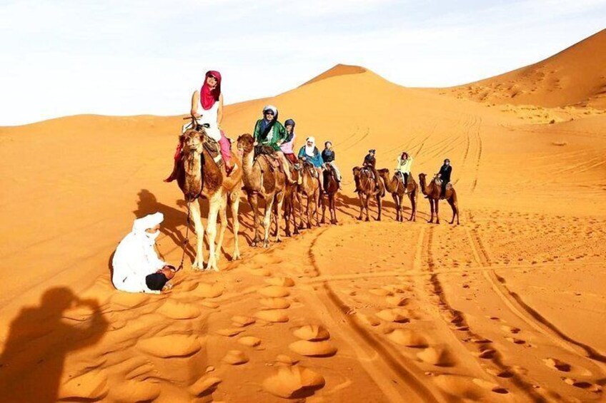 Camel Trek Merzouga