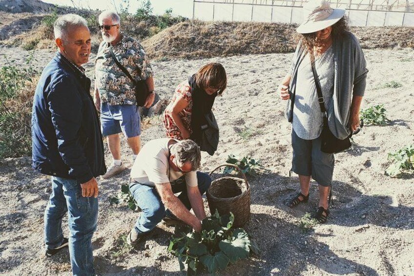 Santorini Anhydrous Croft Tour with Local Food & Wine tasting By a Local