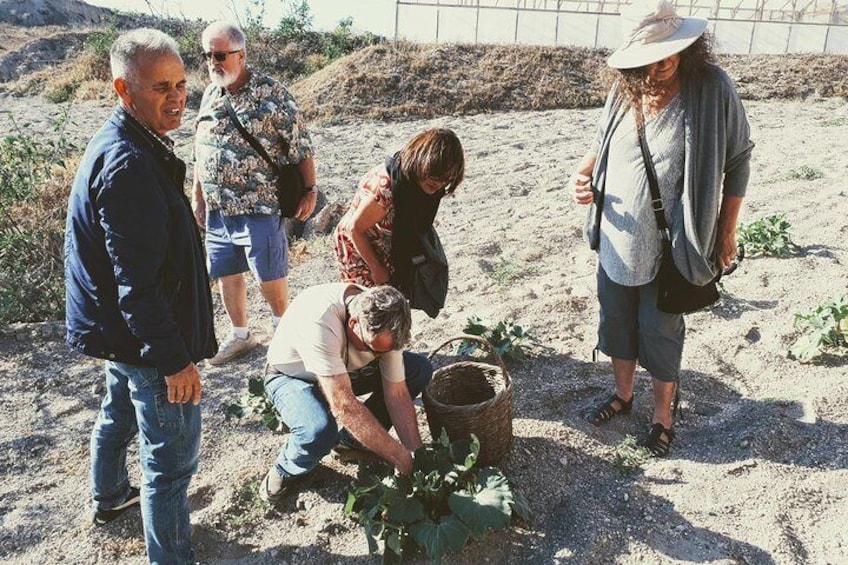 Santorini Anhydrous Croft Tour with Local Food & Wine tasting By a Local