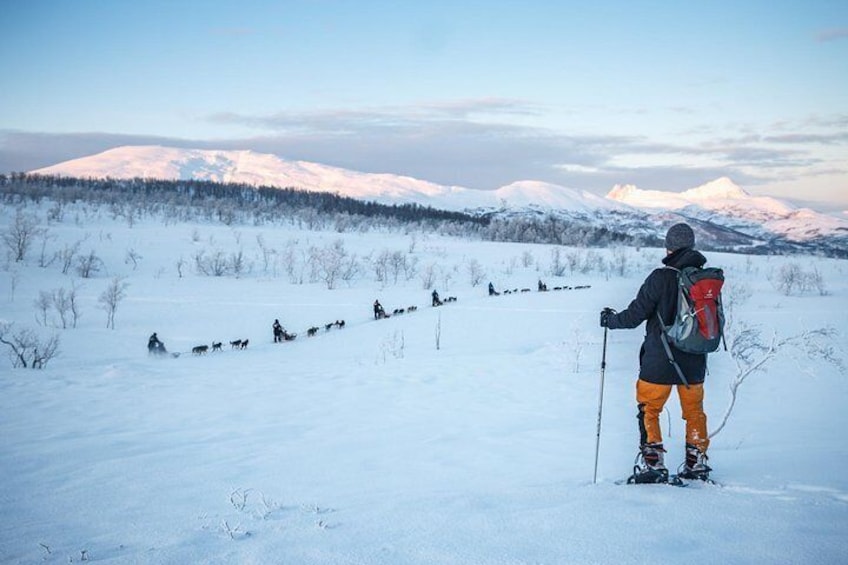 Tromso Guided Snowshoe Trip