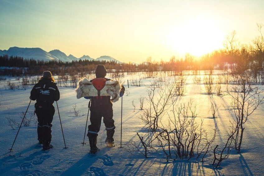 Tromso Guided Snowshoe Trip