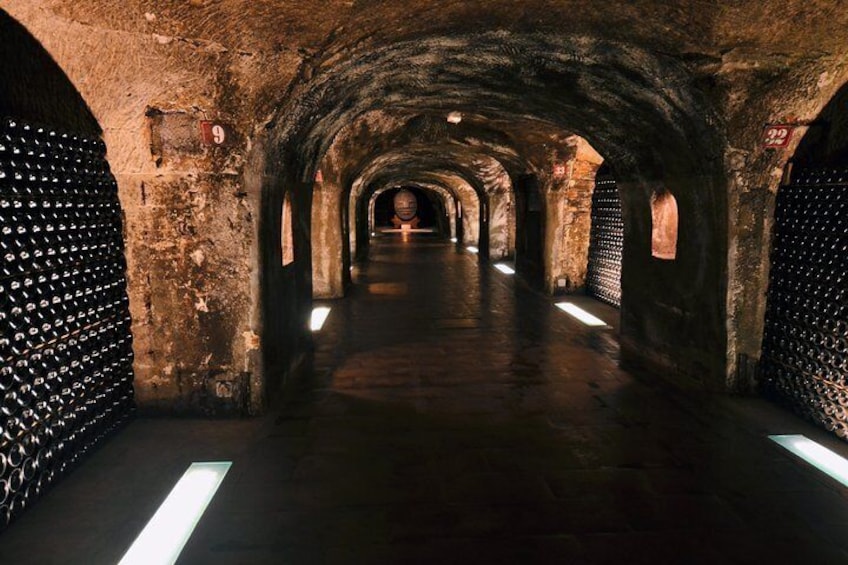 Tour in the cellars of Moet or Taittinge