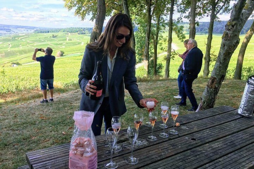 Enjoy a Champagne Tasting in the Vineyards
