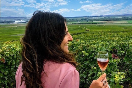 Excursión de un día al vino en grupo pequeño con champán, degustaciones de ...