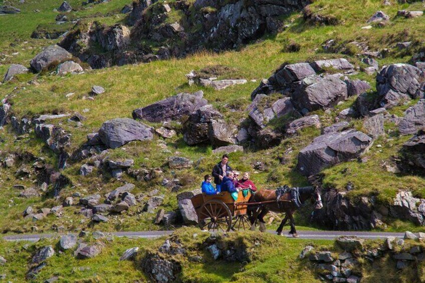 Meeting new friends in The Gap of Dunloe.