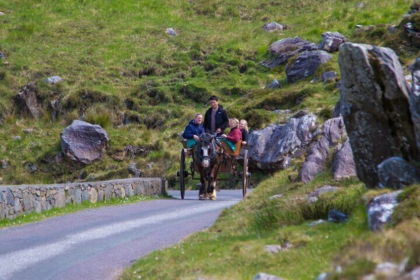 Jaunting Carriage through Gap of Dunloe.