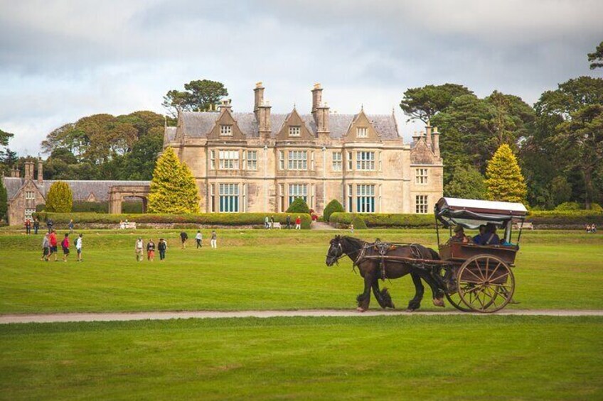 Muckross House and Gardens