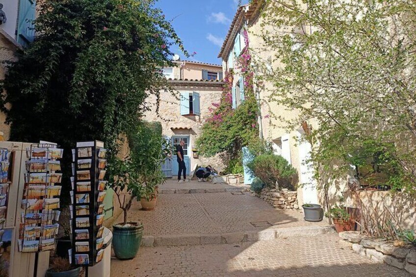 Wine Tour Bandol & Cassis from Marseille