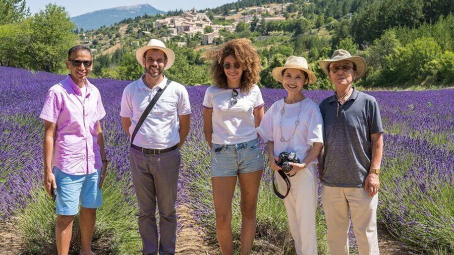 Provence Lavender Full Day Tour from Avignon