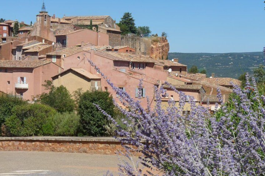 Small Group Provence and Lavender Museum Day Trip from Avignon