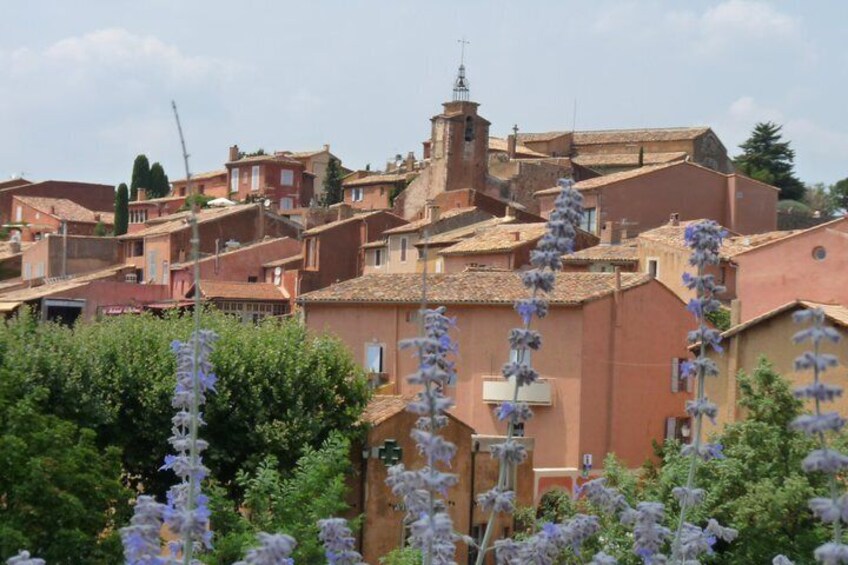 Small Group Provence and Lavender Museum Day Trip from Avignon