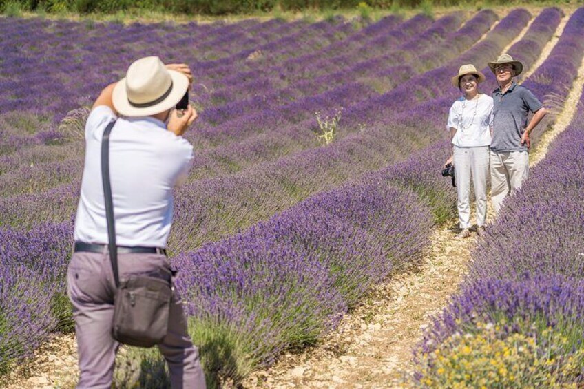 Lavender in Sault Small Group Half-Day Trip