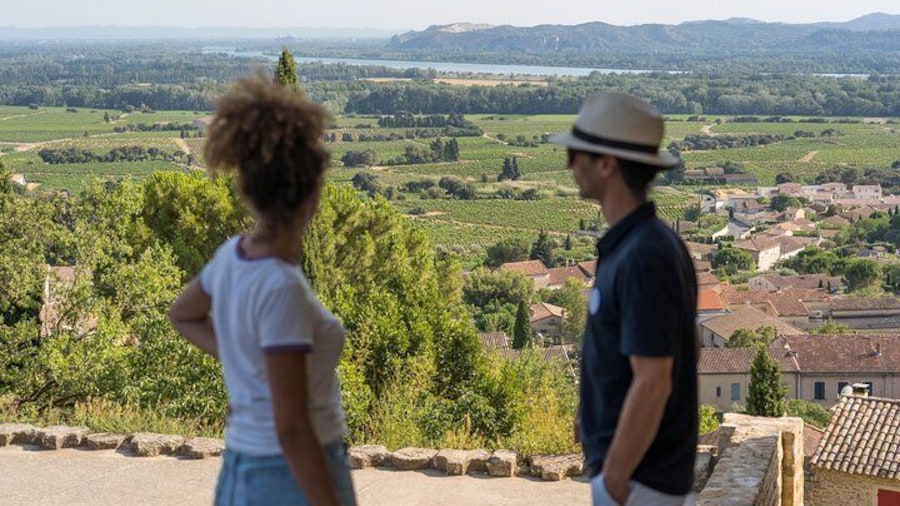 Afternoon Wine Tour to Chateauneuf du Pape from Avignon