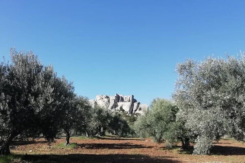 Saint Remy, Les Baux and Pont du Gard Small Group Day Trip