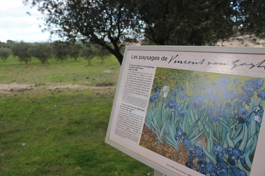 Van Gogh in Provence Small-Group Day Trip from Avignon