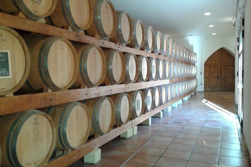 Cellar with barrels