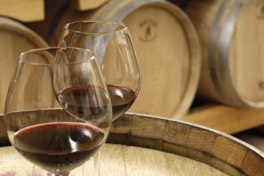 Wine glass
