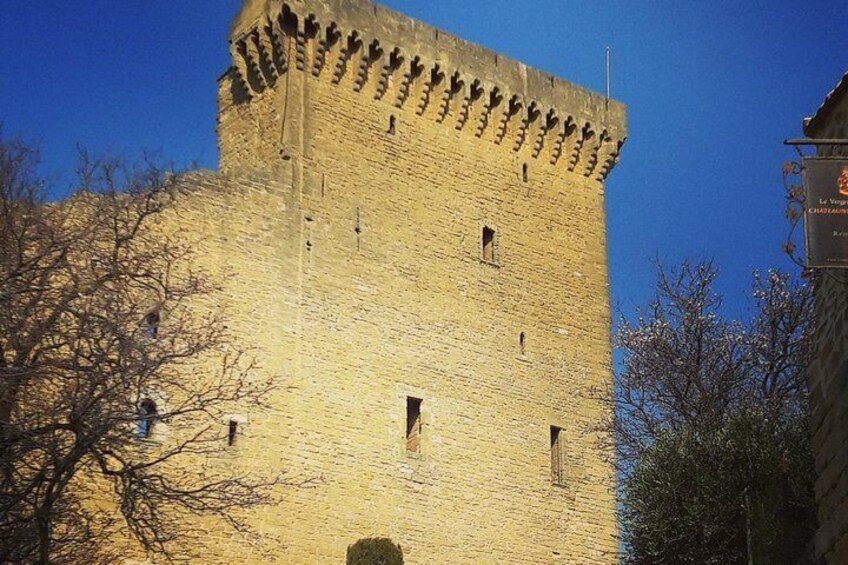 Rhone Valley Wine Tour with Chateauneuf-du-Pape & Tavel from Avignon