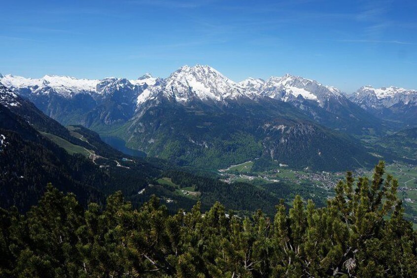 view