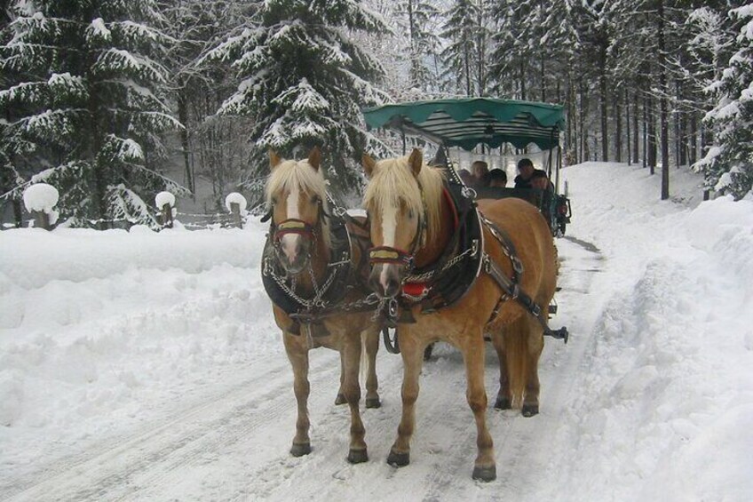 Private Horse-Drawn Sleigh Ride from Salzburg