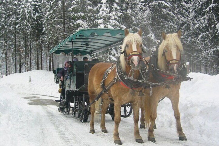 Private Horse-Drawn Sleigh Ride from Salzburg