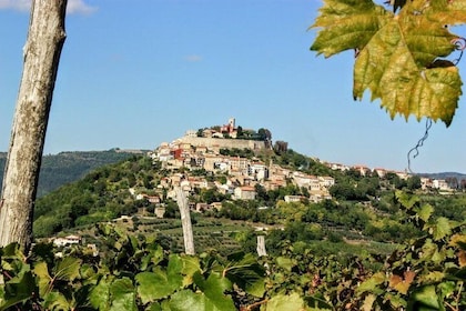 From Pula or Medulin: Rovinj, Grožnjan & Motovun day tour