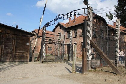 Excursión guiada a los museos y al monumento a Auschwitz y Birkenau desde C...