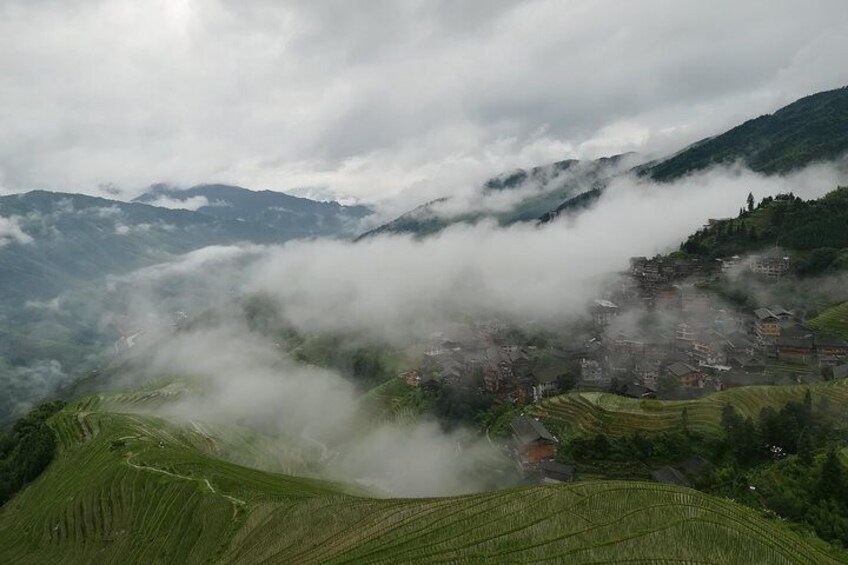 Spring rice terraces 