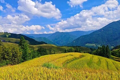 龙芝稻田长毛少数民族村私人一日游