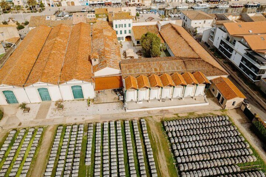 Small-Group Tour of Noilly Prat Vermouth Cellar with Tasting 