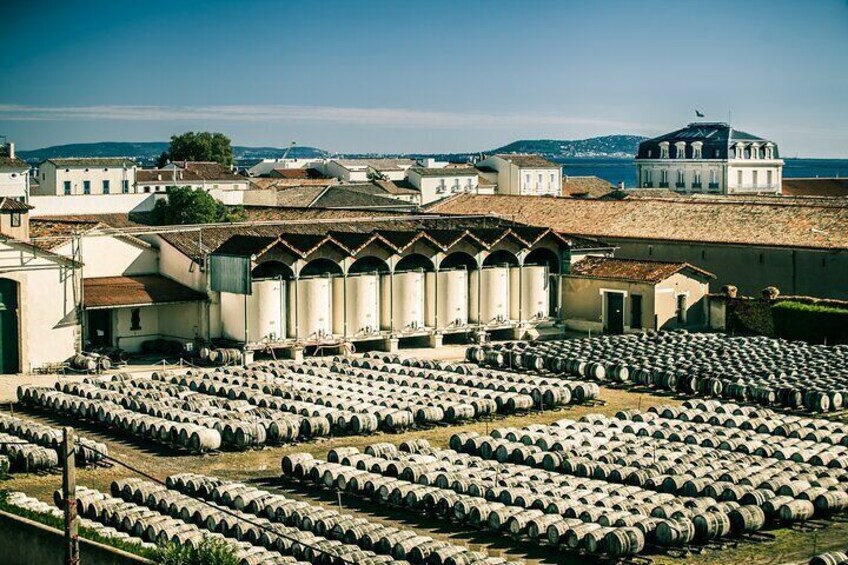 Small-Group Tour of Noilly Prat Vermouth Cellar with Tasting 