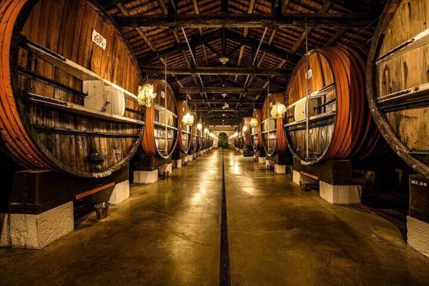 Small-Group Tour of Noilly Prat Vermouth Cellar with Tasting 