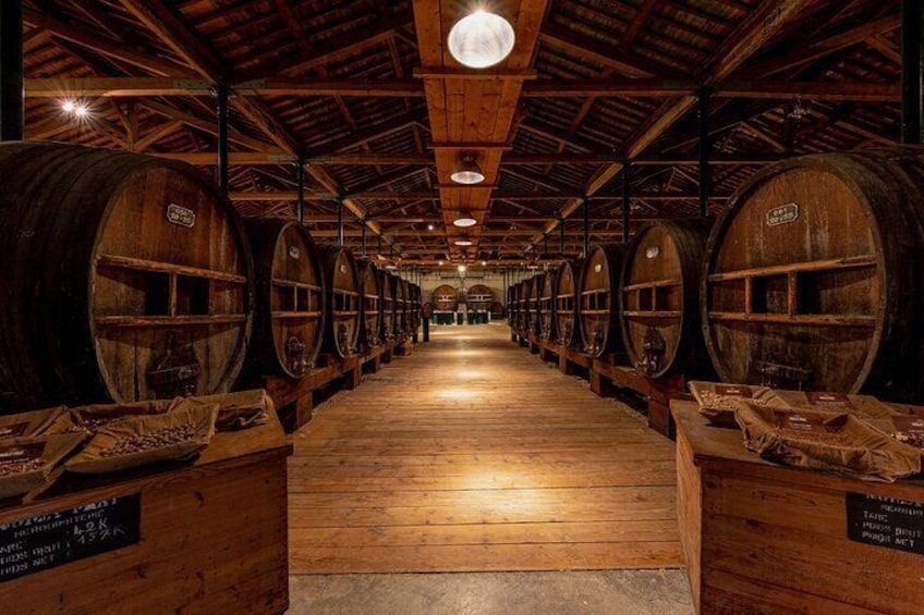 Small-Group Tour of Noilly Prat Vermouth Cellar with Tasting 