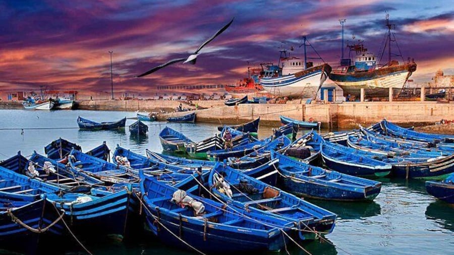Essaouira Port