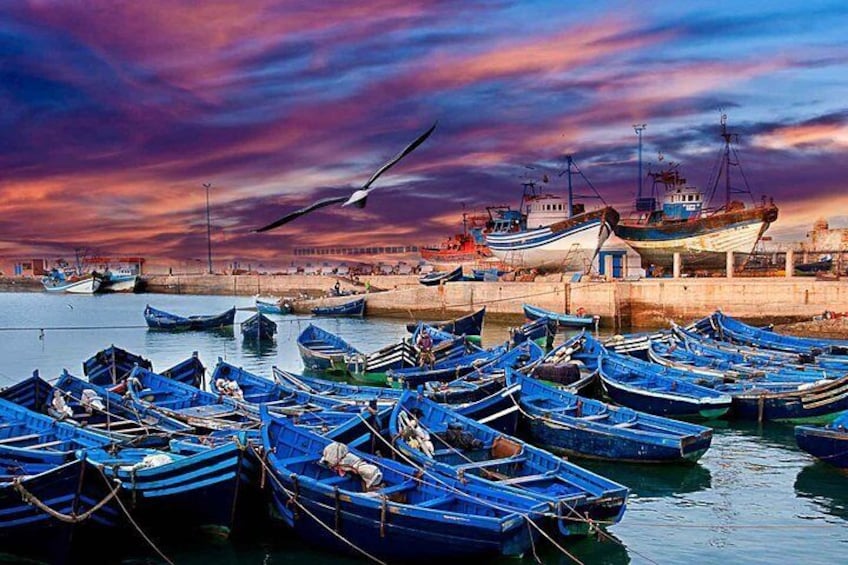 Essaouira Port