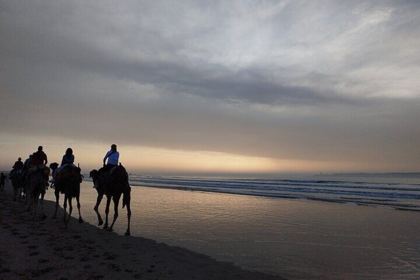 Essaouira Private Full Day Trip From Marrakech 