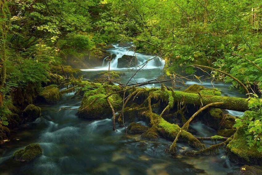 Plitvice Lakes Private Guided Walking Tour