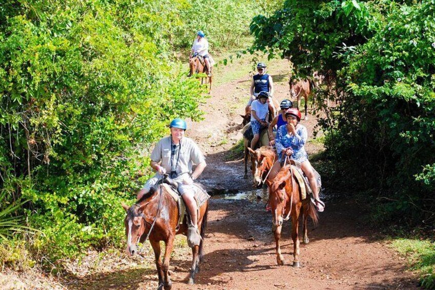 Horseback Riding
