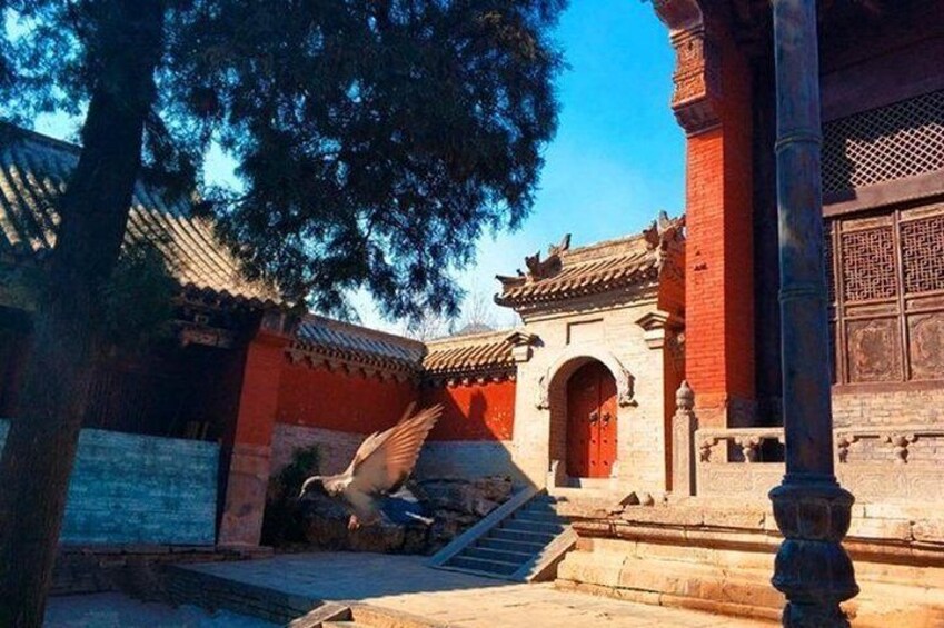 Private Luoyang Day Tour:Longmen Grottoes&Shaolin Temple and White Horse Temple