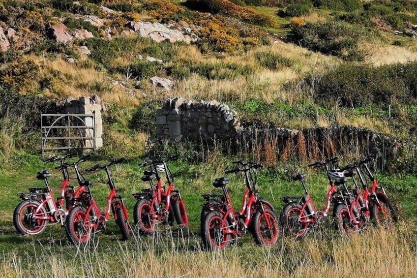 Small-Group E-Bike Tour in Howth